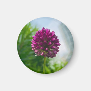 A Hint of Z "Dark Pink Floral" magnet