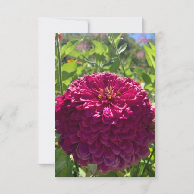A Hint of Z "Dark Rosy Dreams" card (Front)