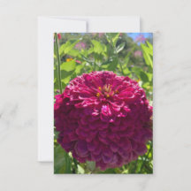 A Hint of Z "Dark Rosy Dreams" card