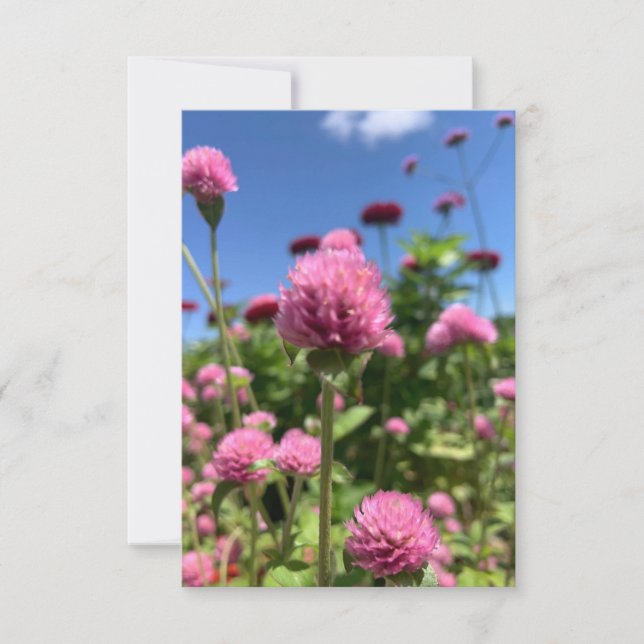 A Hint of Z "Floral Pink" card (Front)