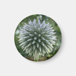 A Hint of Z "Green Fireworks Floral" magnet