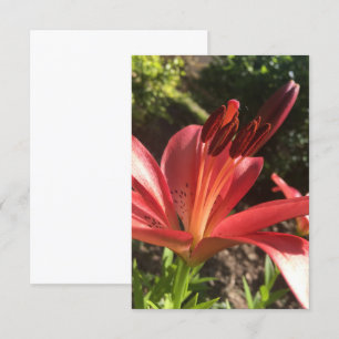 A Hint of Z "Solid Red Flower" card