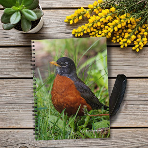 A Hopeful American Robin Notebook