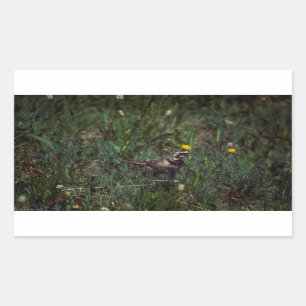 A Horned Lark Rectangular Sticker