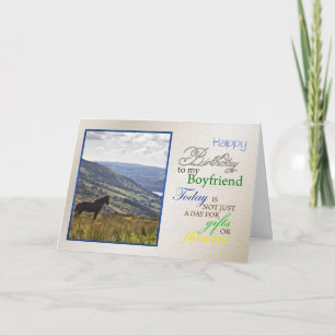 A horse birthday card for boyfriend.