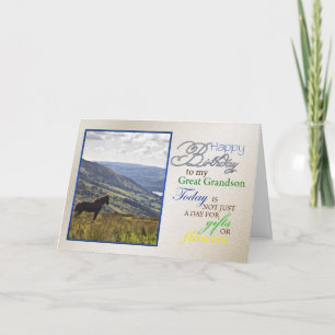A horse birthday card for Great Grandson.