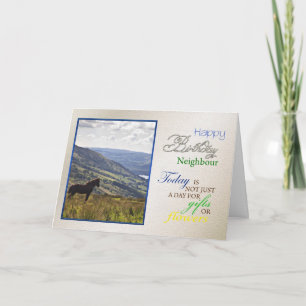 A horse birthday card for neighbour.