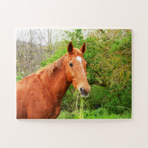 A horse called Orion Jigsaw Puzzle