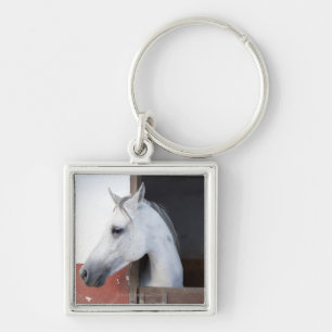A Horse (Equidae) Key Ring