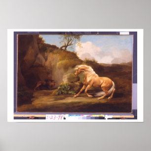 A Horse Frightened by a Lion, c.1790-5 (oil on can Poster