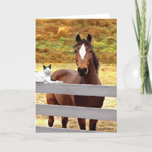"A Horse & Her Cat" Greeting Card
