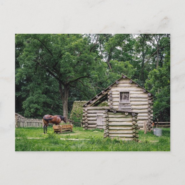 A horse in front of an old farm house postcard (Front)
