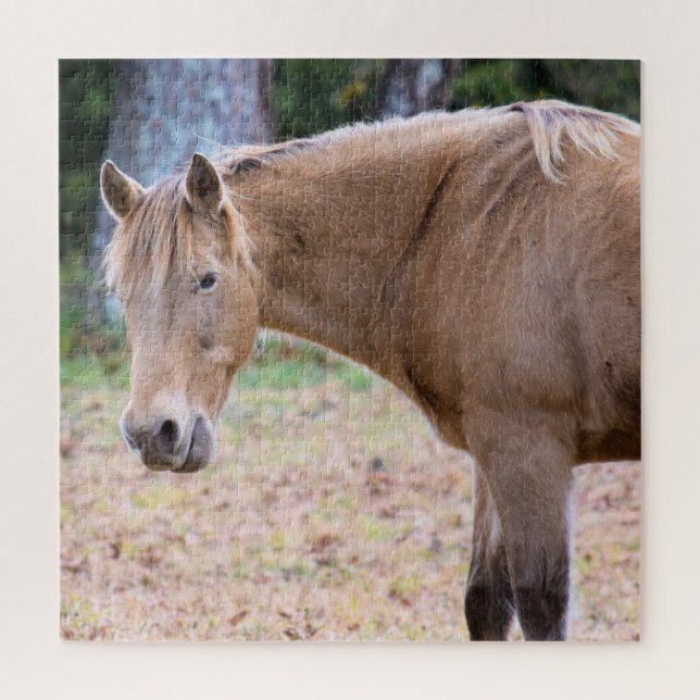 A Horse is a Horse of Course - 20x20 inch Jigsaw Puzzle (Vertical)