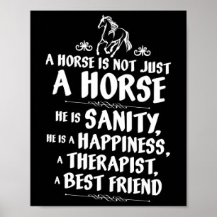 A Horse Is Not Just A Horse - Equestrians Funny Cu Poster