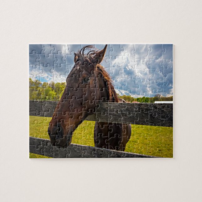 A Horse Jigsaw Puzzle (Horizontal)