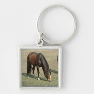 A horse - keychain