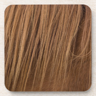 A Horse Mane Coaster