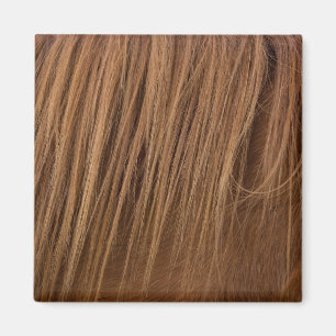 A Horse Mane Magnet