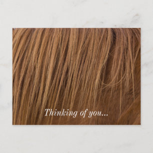 A Horse Mane Postcard