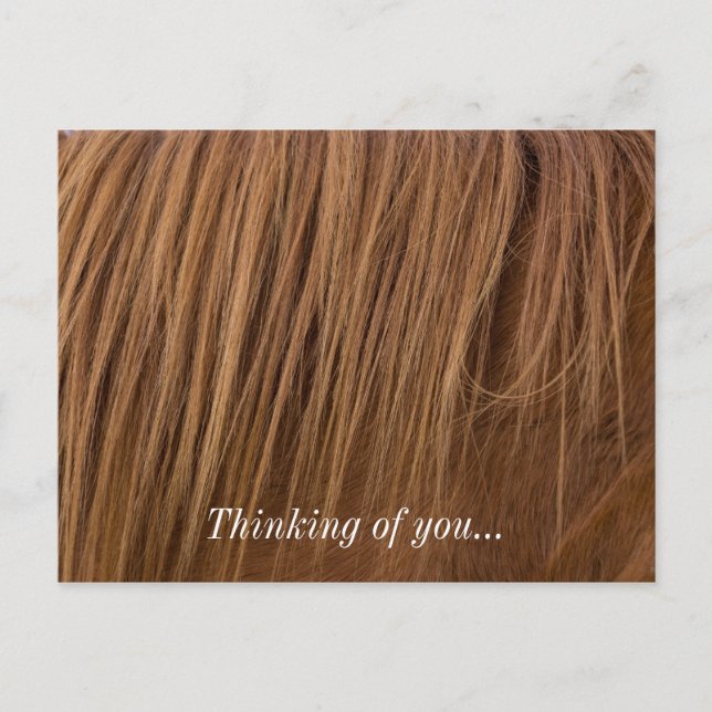 A Horse Mane Postcard (Front)