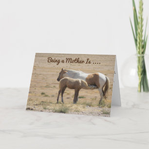 A Horse Mothering Her Baby Happy Mother's Day Card