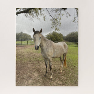 A horse near a pasture jigsaw puzzle