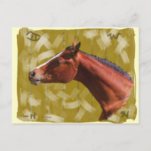 A Horse, Of Course!...Postcard. Postcard