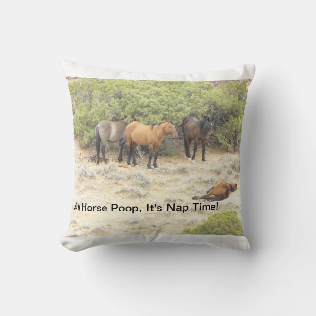 A Horse Poop Pillow for any occassion (Front)