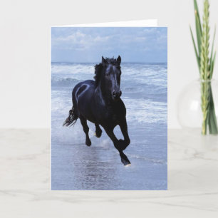 A horse wild and free card