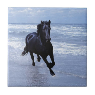 A horse wild and free ceramic tile
