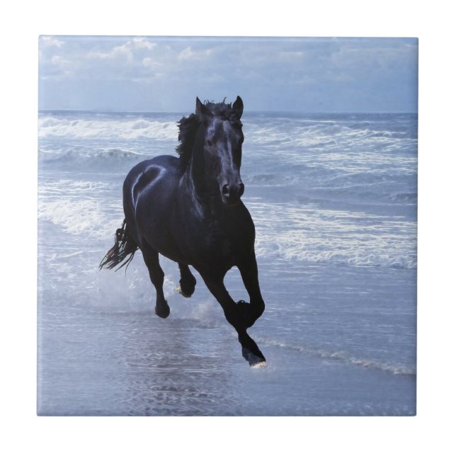 A horse wild and free ceramic tile (Front)