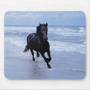 A horse wild and free mouse pad