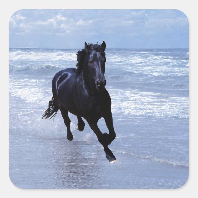 A horse wild and free square sticker (Front)