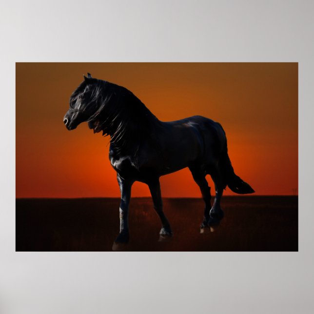 A horses sunset romp poster (Front)