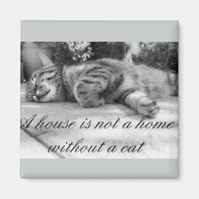 A house is not a home without a cat magnet! magnet (Front)