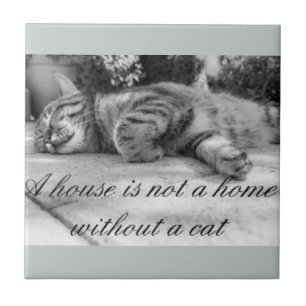 A house is not a home without a cat tile. ceramic tile