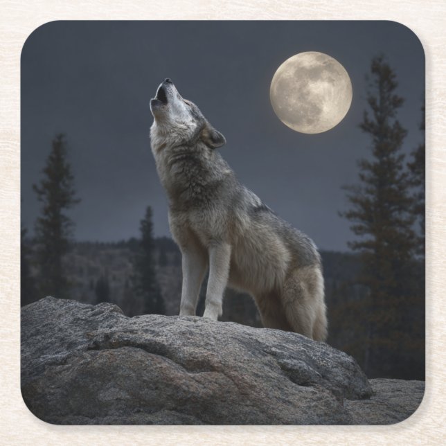 A Howling Wolf Square Paper Coaster (Front)