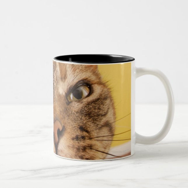 A humourous little cat sits on a stool Two-Tone coffee mug (Right)