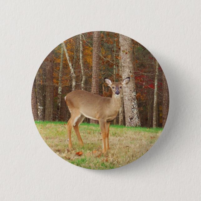 A Hunter's Dream Deer 6 Cm Round Badge (Front)