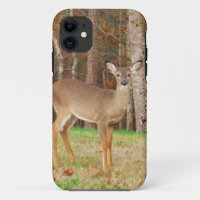 A Hunter's Dream Deer