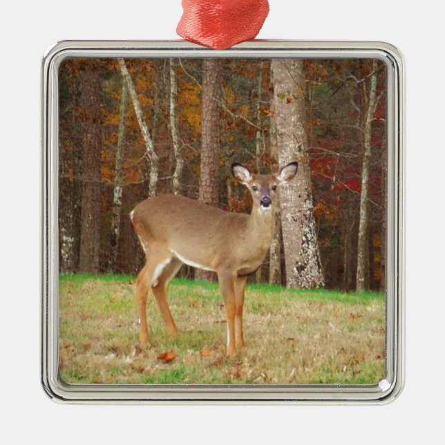 A Hunter's Dream Deer Metal Ornament (Front)