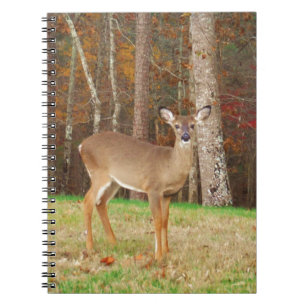 A Hunter's Dream Deer Notebook