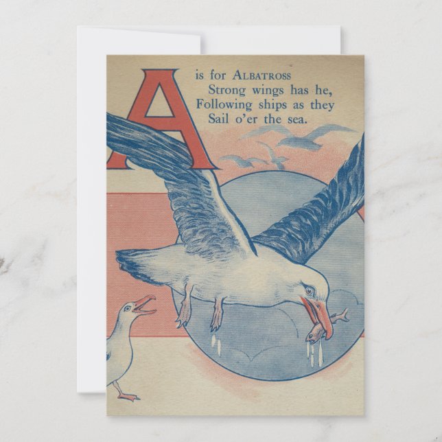 A is for Albatross - Flat Thank You Card (Front)