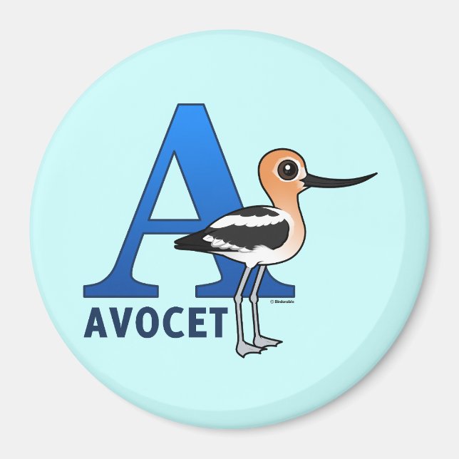 A is for Avocet Magnet (Front)