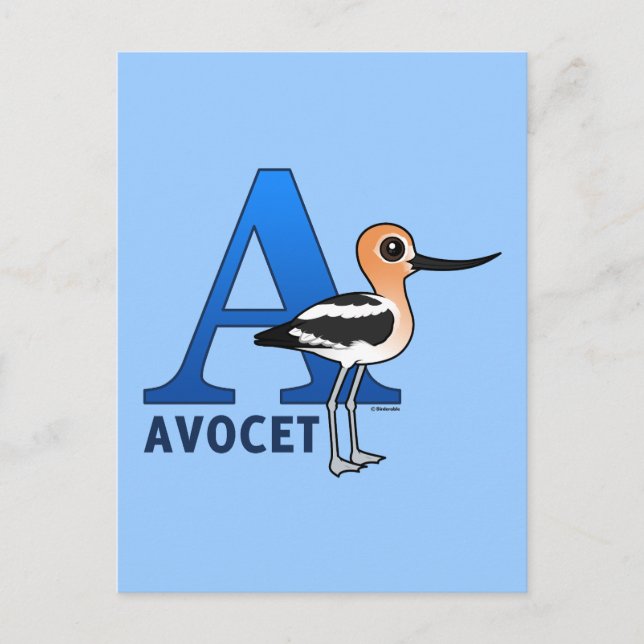 A is for Avocet Postcard (Front)
