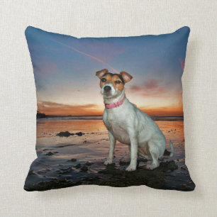 A Jack Russell Sitting Beach Brighton Beach Cushion