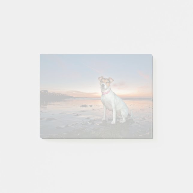 A Jack Russell Sitting Beach | Brighton Beach Post-it Notes (Front)