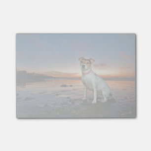 A Jack Russell Sitting Beach Brighton Beach Post-it Notes