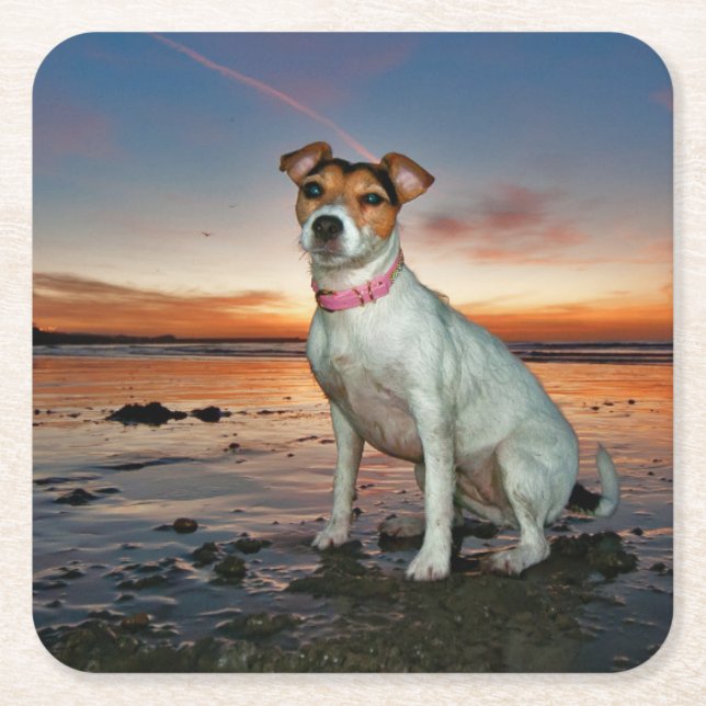 A Jack Russell Sitting Beach | Brighton Beach Square Paper Coaster (Front)