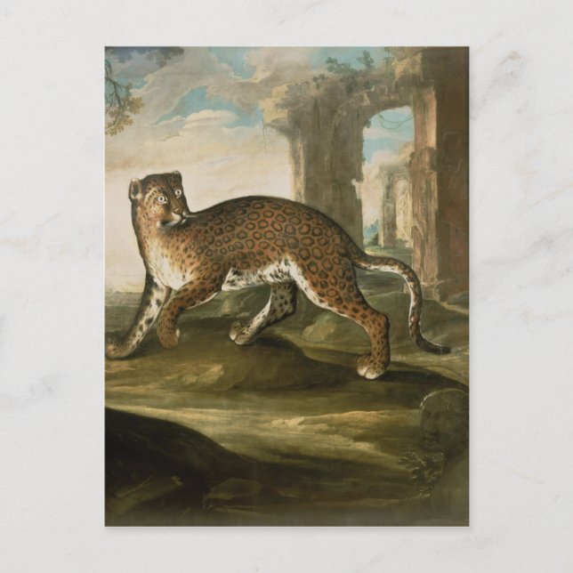 A Jaguar Postcard (Front)